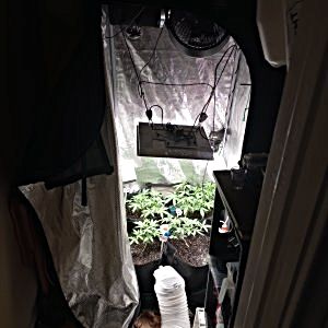 IMG_20241120_161508_081.jpg