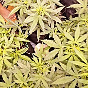 IMG_20241126_182108_035.jpg