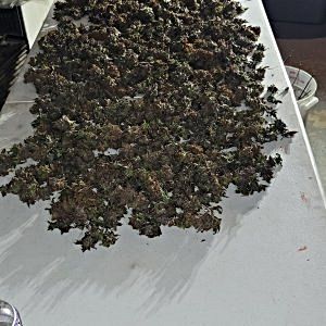 20250125_111937.jpg