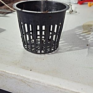 20250203_171716.jpg