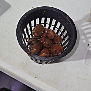 20250203_171736.jpg