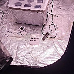 20250203_174755.jpg