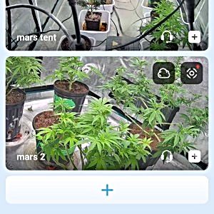 Screenshot_20250209_095431_iCam365.jpg