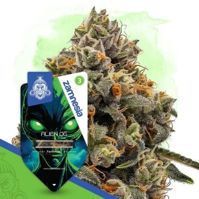 Alien OG