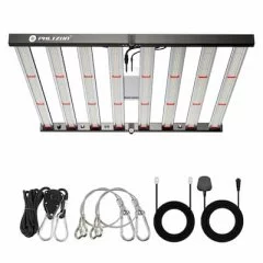 Phlizon FD6000