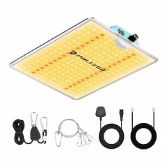 Phlizon PL-1000