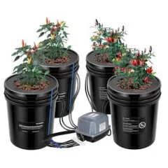 5 Gallon DWC Hydroponic System Kit