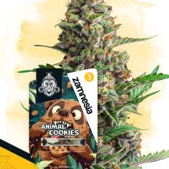 Animal Cookies Automatic