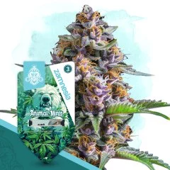Animal Mints