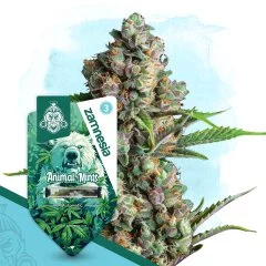 Animal Mints Automatic