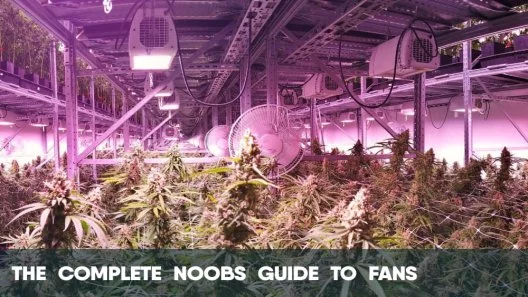 The Complete Noobs Guide to Fans