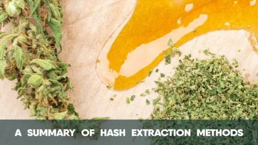 A summary of hash extraction methods