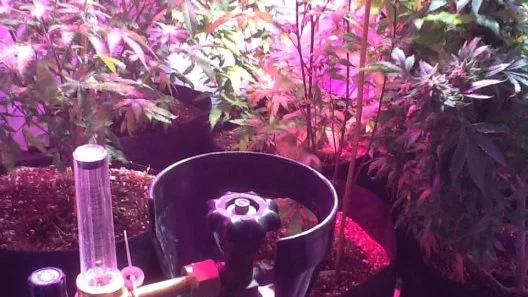 Whats a good method of co2 release for small a grow space?