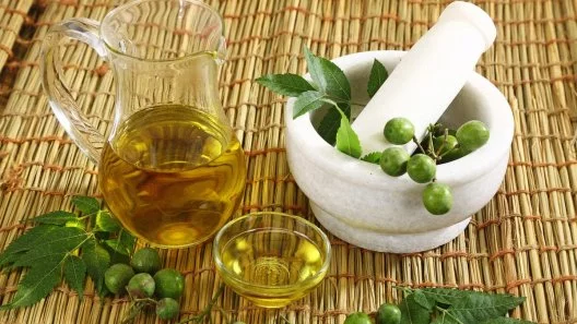 How to make your own neem extract solution