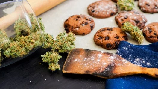 Cannabis Cuisine from Alice B. Toklas to Today's Edible Art