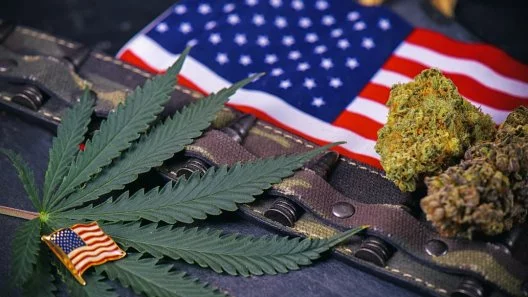 How Medical Cannabis Revolutionizes PTSD Treatment for Veterans