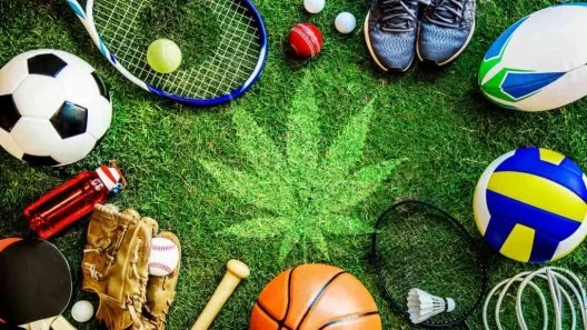 Discover the Power of CBD and THC in Cannabis Cuisine for Athletes