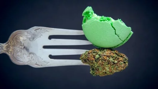 CBD vs. THC: Unraveling the Mystery for Cannabis Cooking Adventures