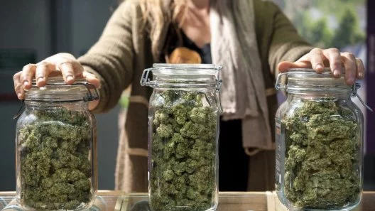 Curing Cannabis: Signs It's Time to Stop Burping Your Jars