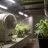 Adding Ventilation to a Cannabis Grow Room