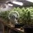 How Much Ventilation Do I Need in My Cannabis Grow Room?