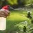 Are there alternatives to chemical pesticides?