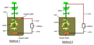 Electro schematic