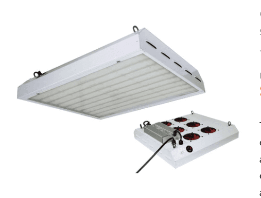 Grow led light kit and more   1500 hollywood can deliver 2
