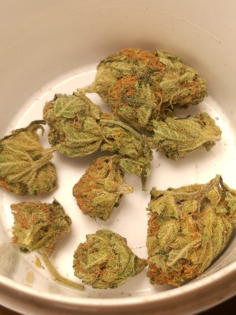 Lemon skunk is what it says on the tin