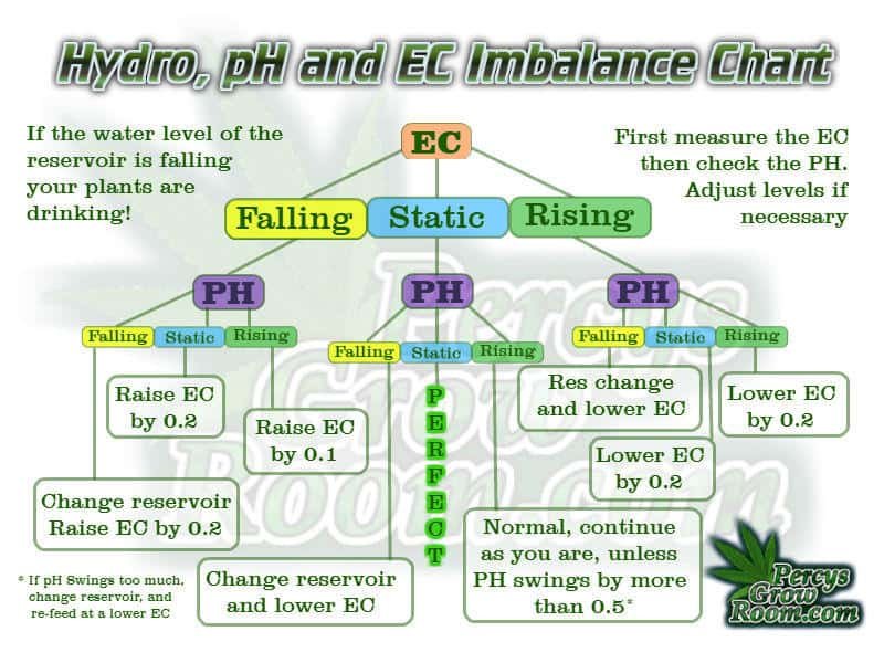 PH and EC fluctuations in Hydroponics