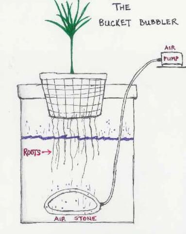 Bucket diagram