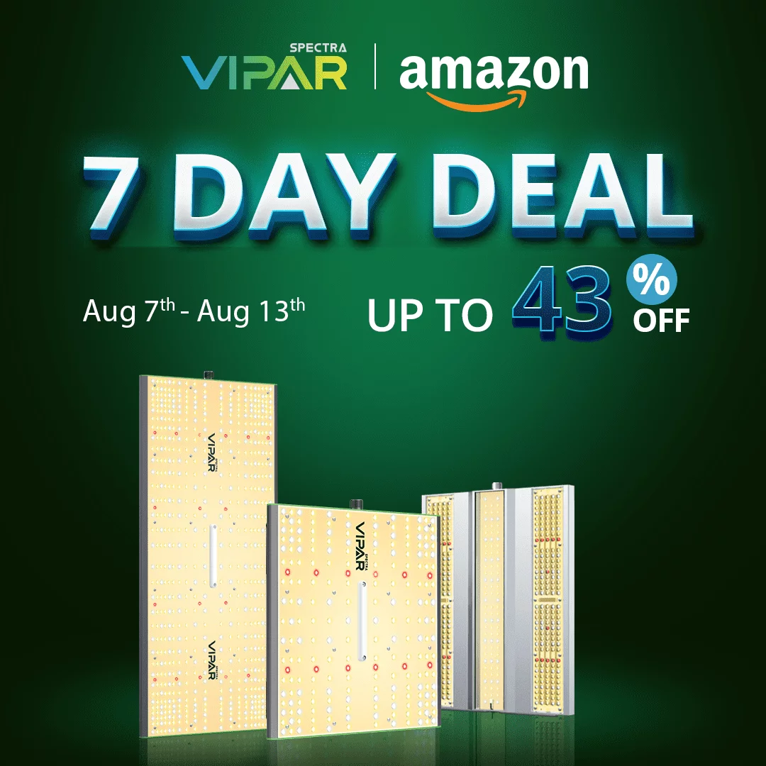 7 Day Deal1