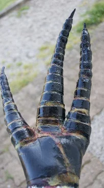 Alien hand