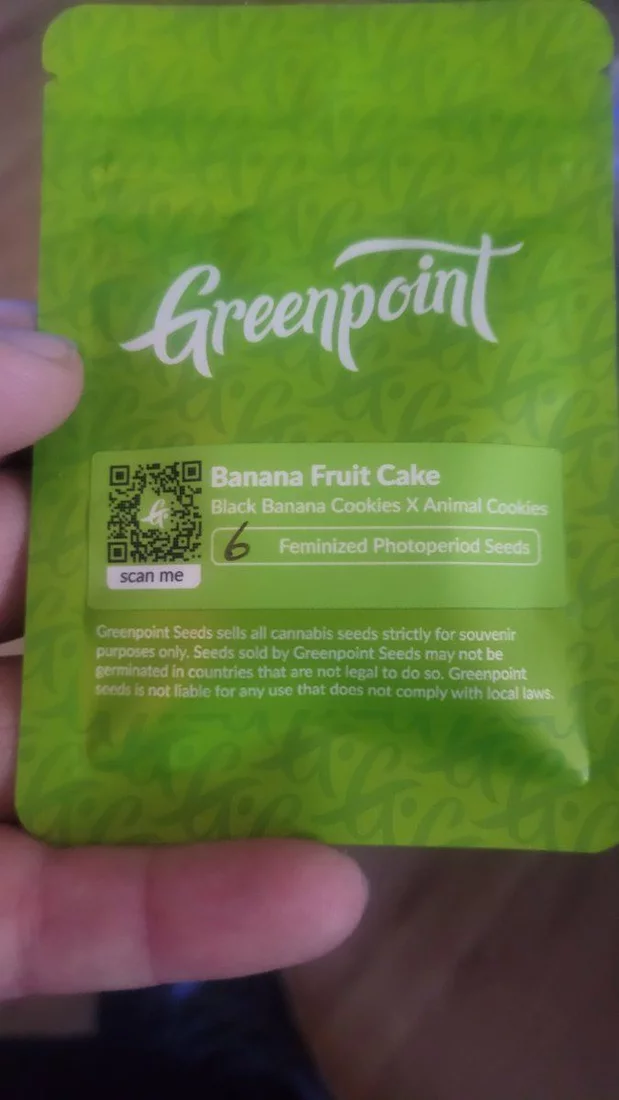 Any experience growing seeds from greenpoint just picked up some banana fruit cake for super c