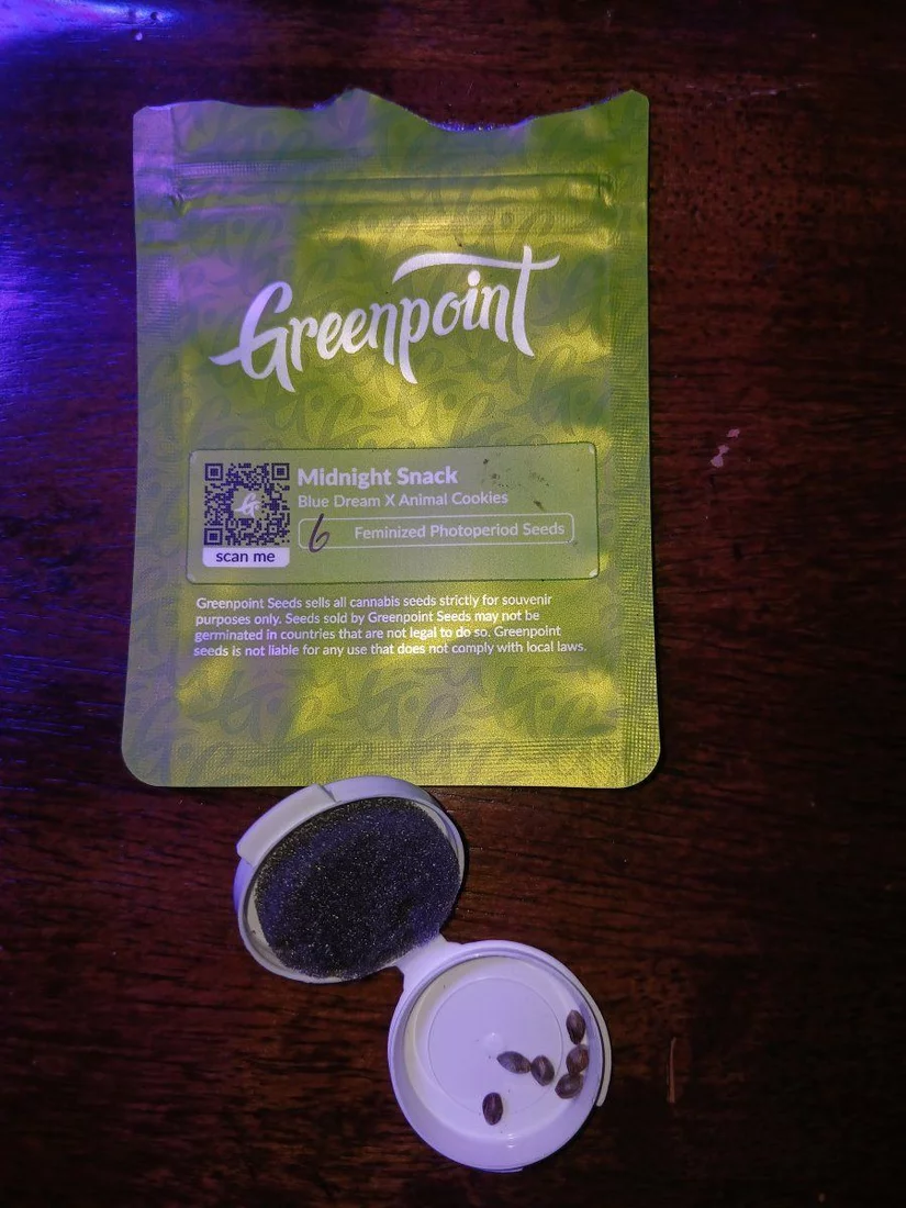 Blue dream x animal cookies from greenpoint seeds review and grow journal