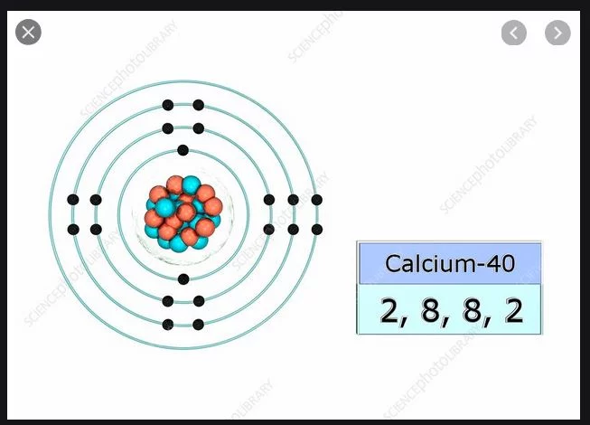Calcium1