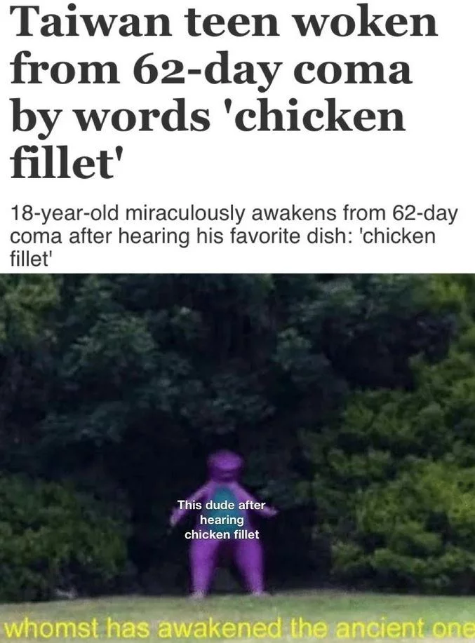Chicken fillet