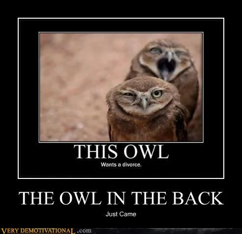 Demotivational posters the owl in the back
