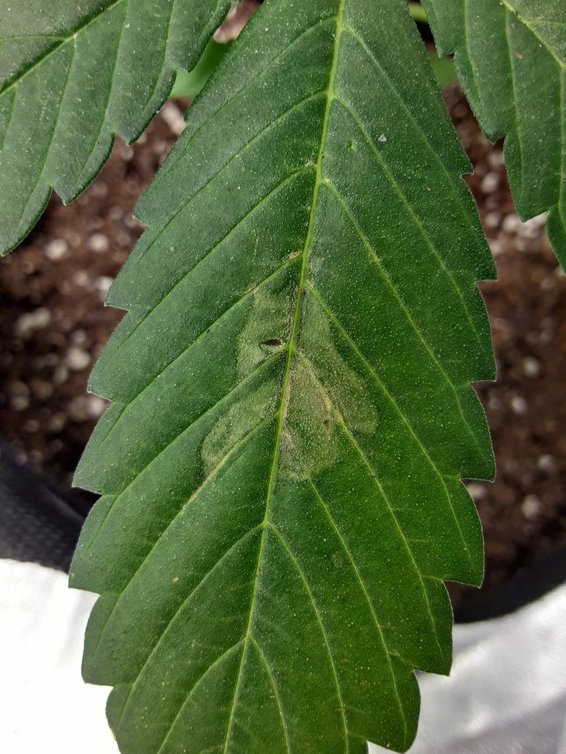 Do i have a deficiency