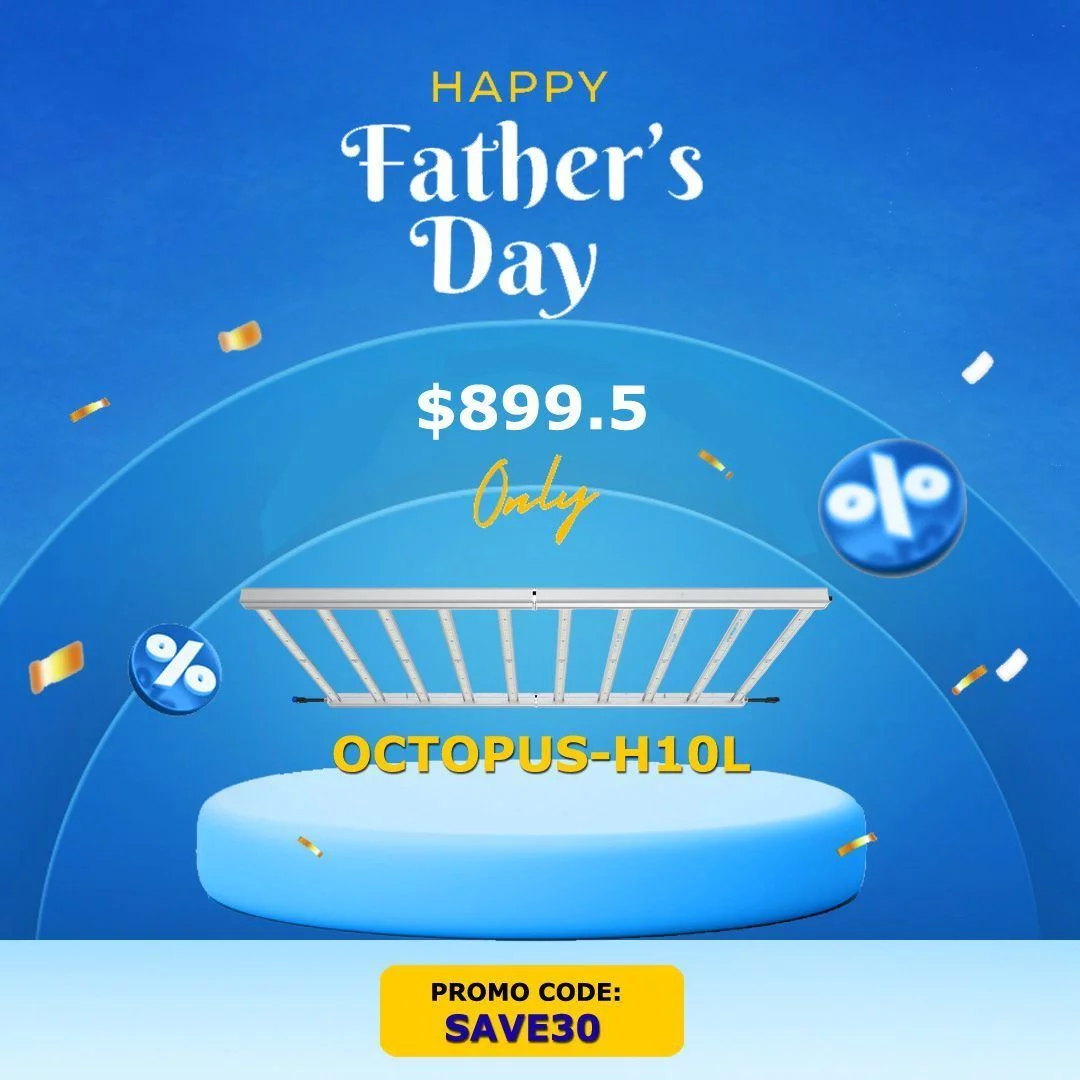 Fathers day sales