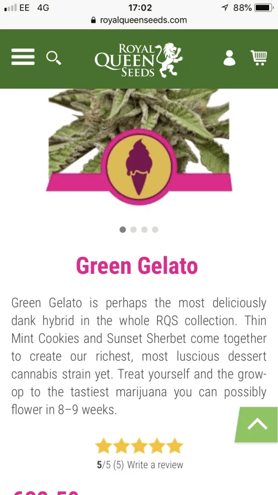 Green gelato rqs 4