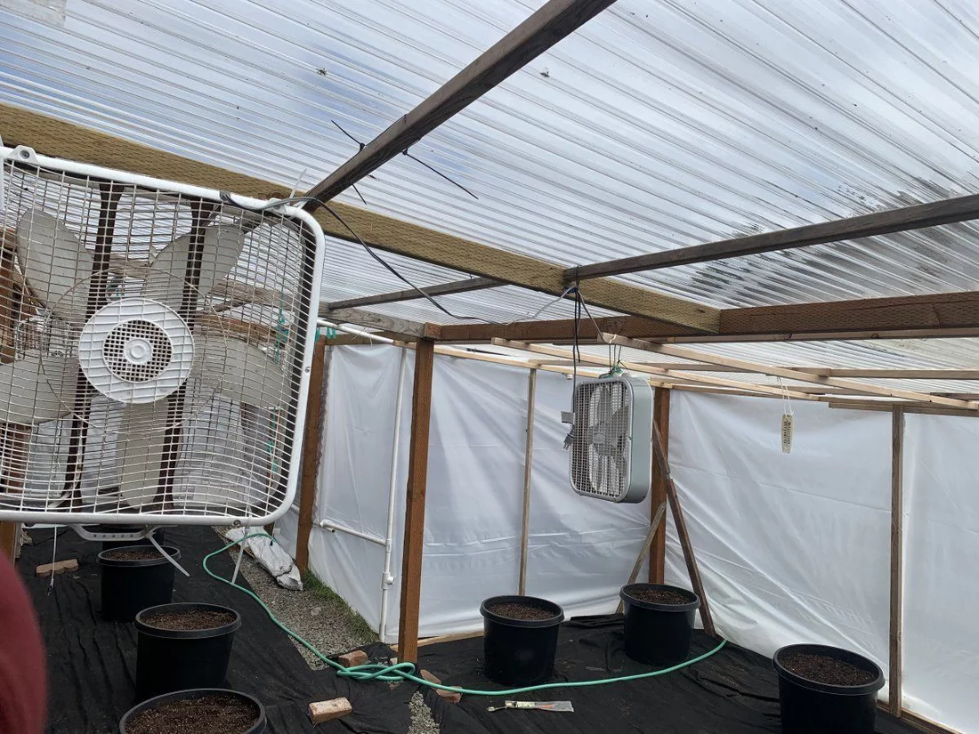 Greenhouse air movement and venting 2