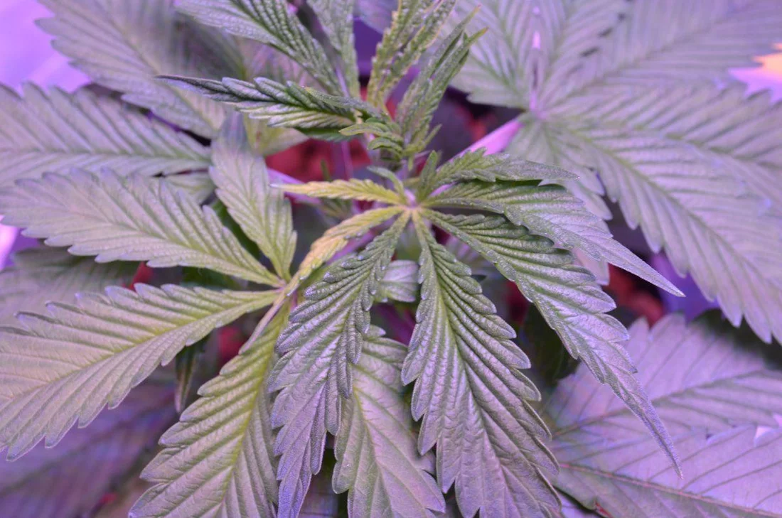 Hey what do you people think of this deficiency or am i good 4