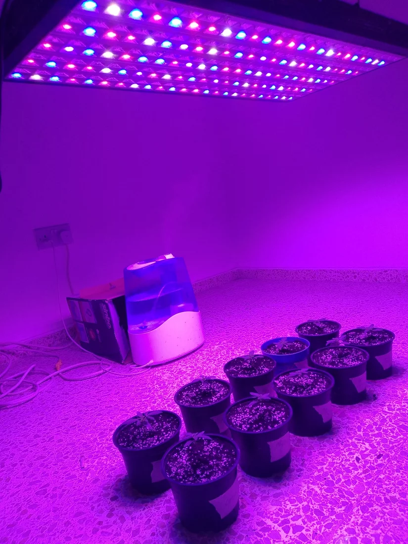 How many plants can i grow with this led 2