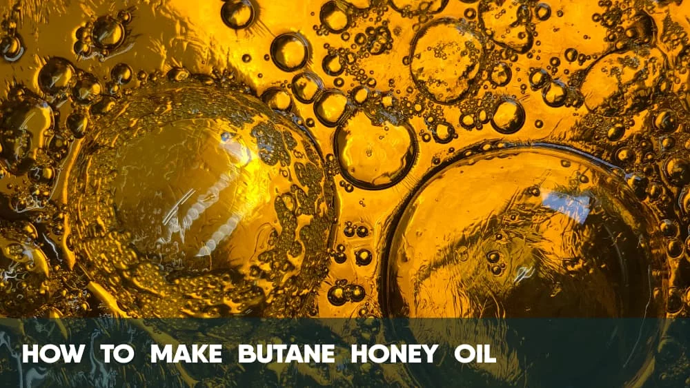 How to Make Cannabis Butane Honey Oil
