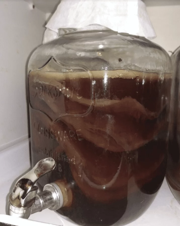 Kombucha drink as an aerobic microbes base input to aeriated compost tea