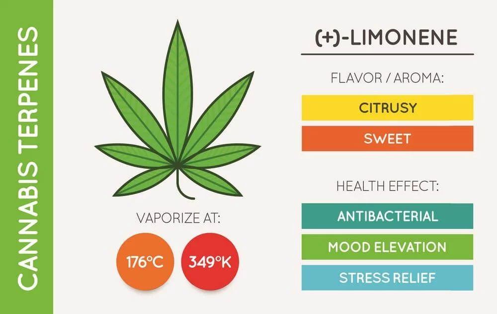 Limonene cannabis terpene chart