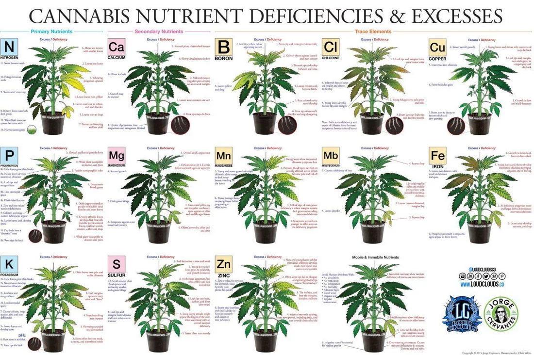 Marijuana Leaf Deficiency Chart scaled