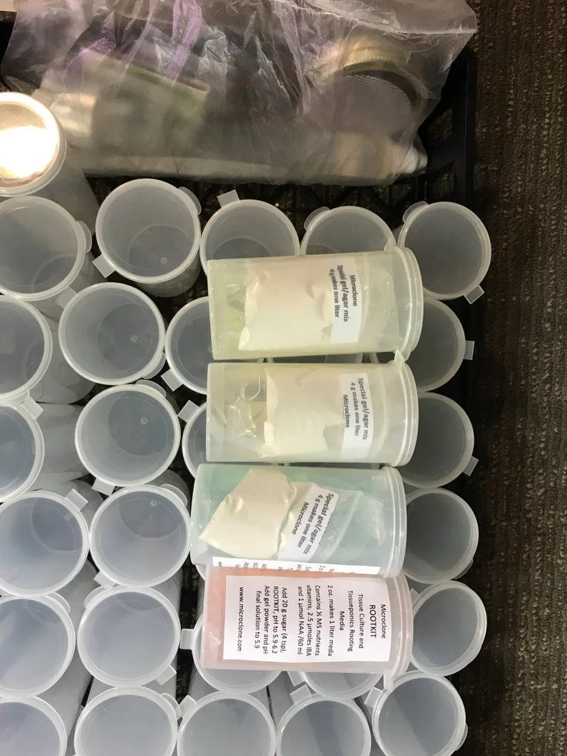 Micro clone plant tissue culture kit 2