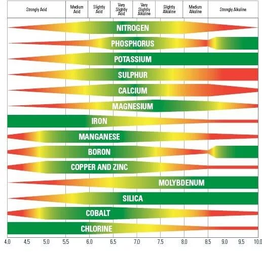PH Nutrient Availability Scale